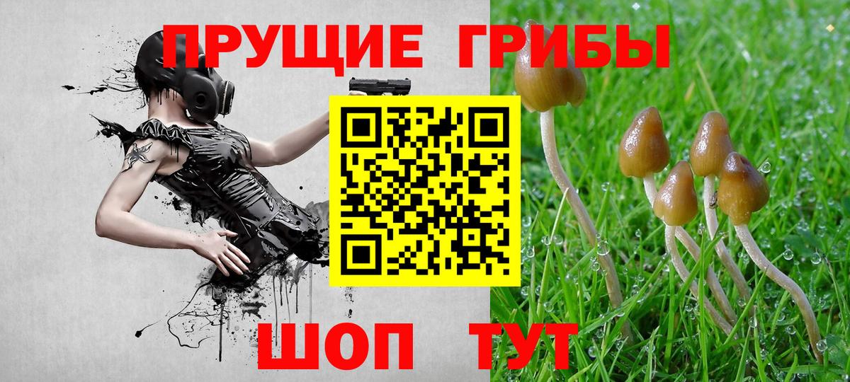 Хасавюрт  Псилоцибиновые грибы Cubensis  Вход с VPN  Галлюциногенные грибы мухоморы 